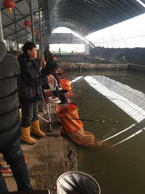 北京钓鱼大棚（2019年北京大棚垂钓园）